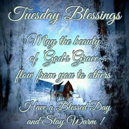 FB_IMG_1769523585671