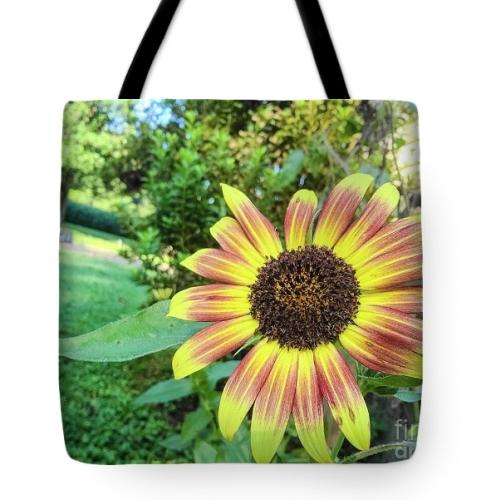 Screenshot_20260115_111425_Brave