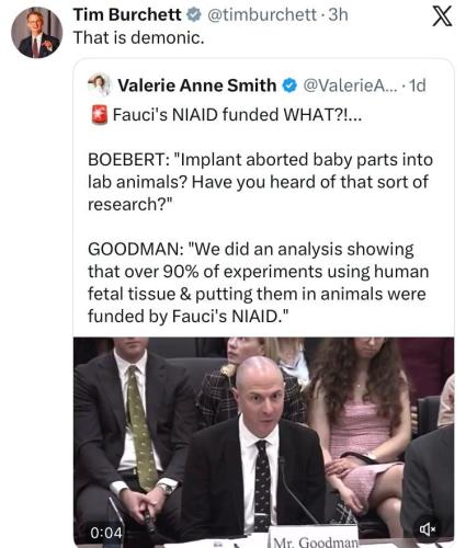 3bdd4d42-5dc3-4233-8c6f-a9a82d581794