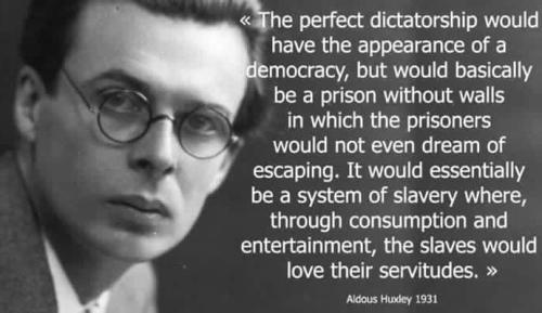 dictatorship perfect