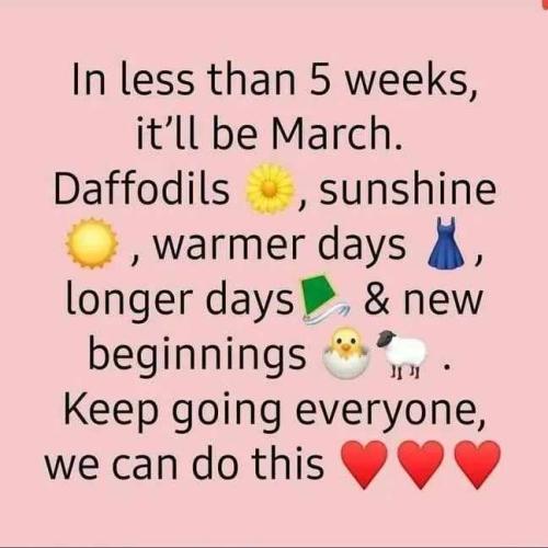 Resized_img_rsz__1100x1100_(28)