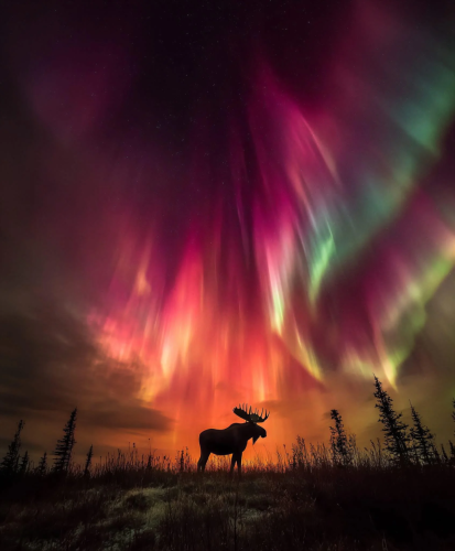 RDT_20260120_1706394023256394338270768