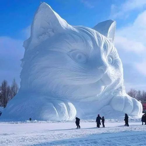 4361dde54886cd2c2fffe73449f69329