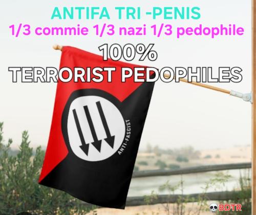 Antufafaggotpedoterroristsle