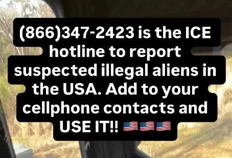 ICE Hotline