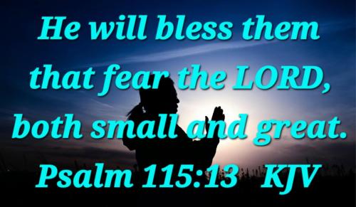 7ae5c211-e5e9-4ba9-a5d1-c71741c4653f