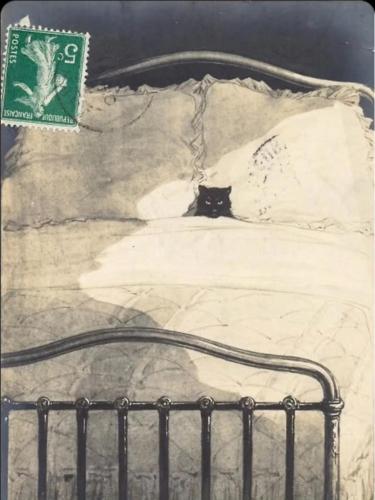 616650139_1206248001658205_3781401901988256667_n