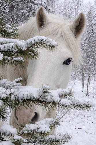 617432681_33386471031000163_8532396263772212371_n