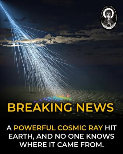 ,     ,       273410949_71196934381