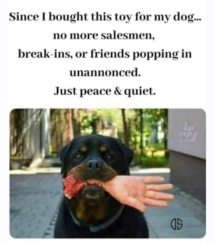 493180142_10161336042415334_8326964490981585754_n