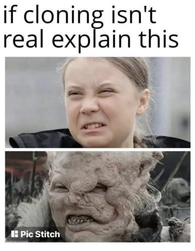 if-cloning-isn't-real