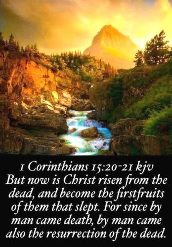 1 Cor. 15;20-21