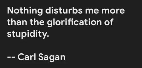 glorification-of-stupidity