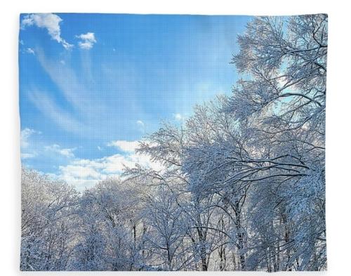 Screenshot_20260124_085723_Brave