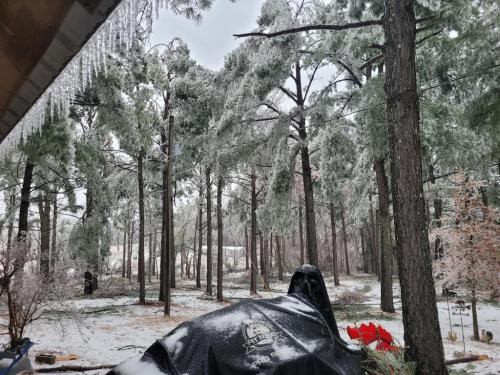 9d1f1644-7bc2-4843-99c8-bd28578d4311