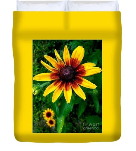 Screenshot_20260127_131841_Brave