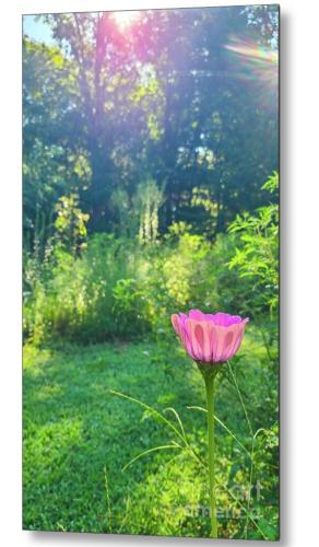 Screenshot_20260106_110612_Brave