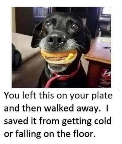 you-left-this-on-plate