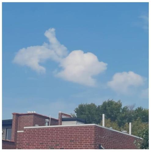 a8f59383-8cf4-4eab-98a6-45d74c847dac