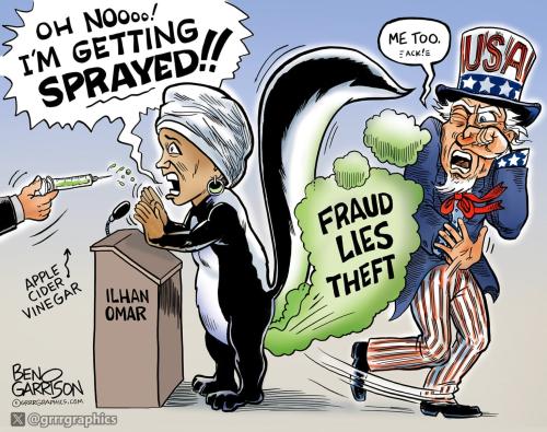 ilhan-omar-fraud-skunk-spraying-usa-2026-1536x1216