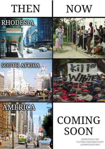 IMG_20260111_164418_794