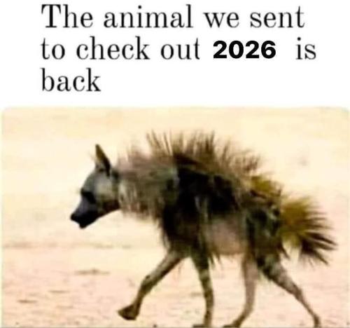 FB_IMG_1767370342930