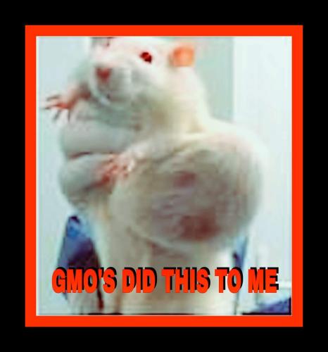 FB_IMG_1480375548760_013723