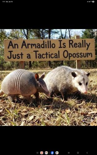 Screenshot_20260110_131137_Facebook