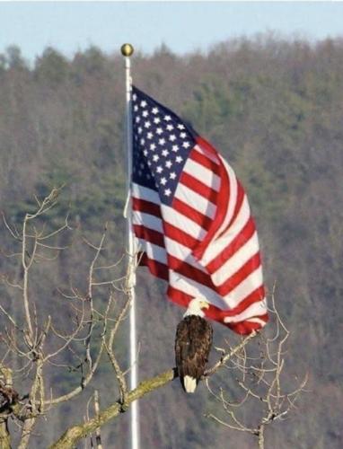 Screenshot_20260116_165405_Gallery