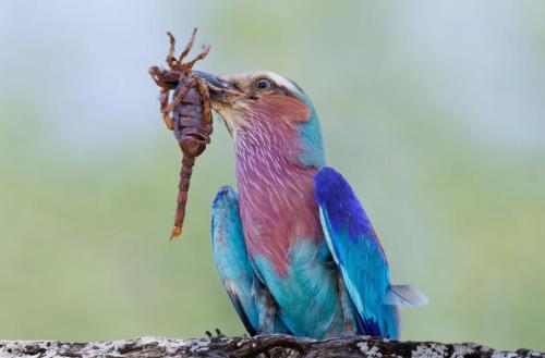 RDT_20260105_0740077822439094191163449