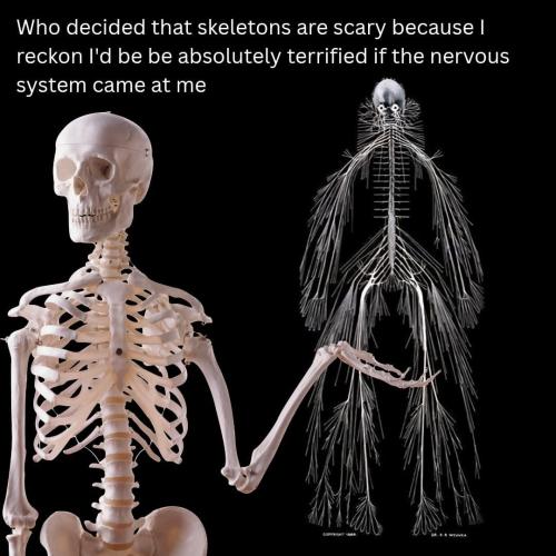 FB_IMG_1768701250087