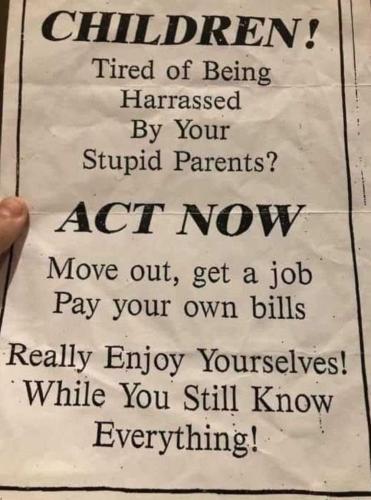 AnMULE3xQDVgcuLuKP2r_02_08a834a9565075c71fe76cdf96c47bd9_image