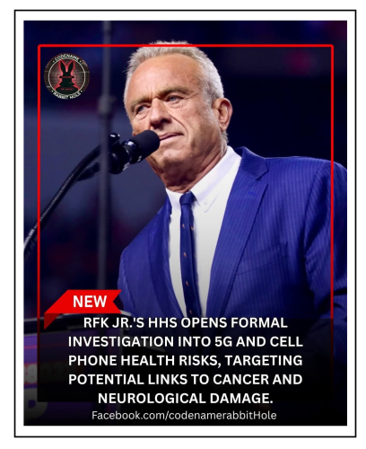 formal investigation