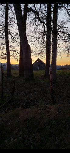 Screenshot_20251210_150117_Photos