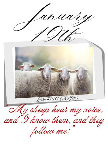 616322049_902711898929824_55129224780550856_n