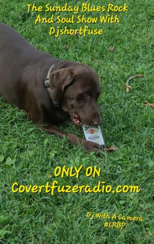 Screenshot_20260111_101202_Gallery