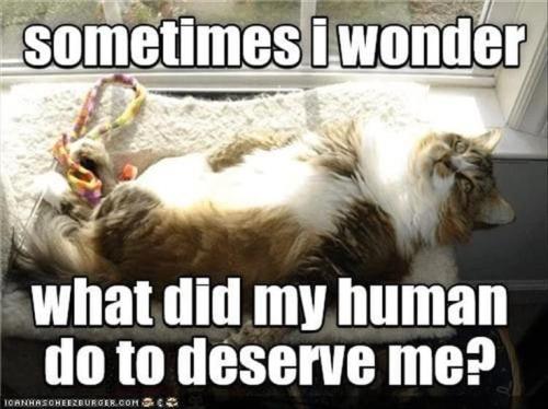 0f1d4f22e4f87a983ad0408315a361dc