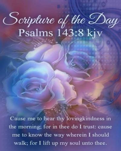 625296711_1485070793658915_1786209200164930849_n