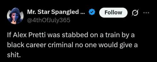 if-pretti-was-stabbed-by-black-criminal