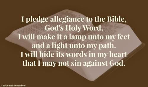 pledge to bible 16