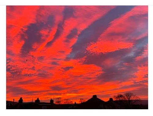 160b6415-1ce0-4657-894b-f70e87170c57