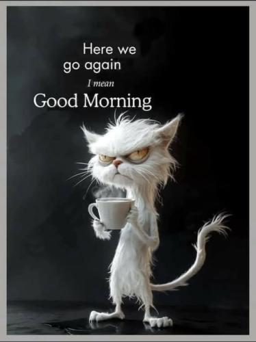 589067560_1573084060529635_4162987412429837963_n