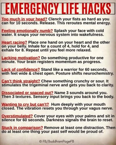 ,       ,     424899179_74878085712