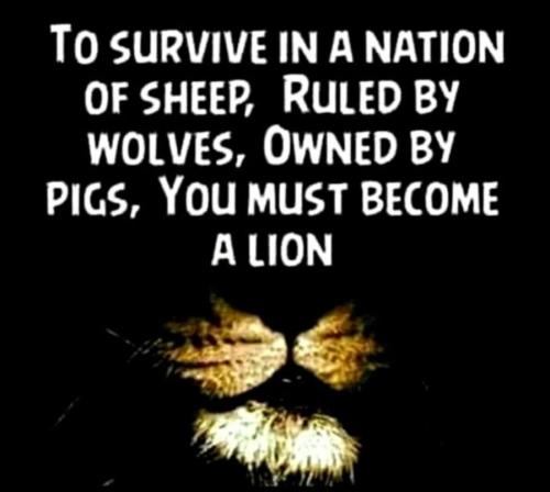 2b211371-4d93-4626-983e-6047376bb3ef