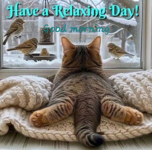 7b5dd182db8613756321cb9549a77d48