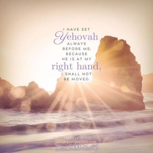 psa-16-8-JPS-unsplash