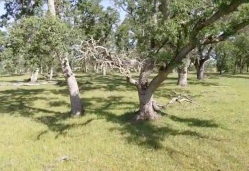 617086046_1410625033769106_3212556764598142272_n