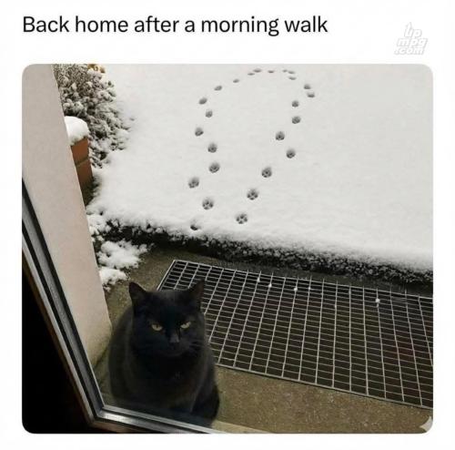 main-qimg-cb460c5f5d75e2e8d583951d93231654