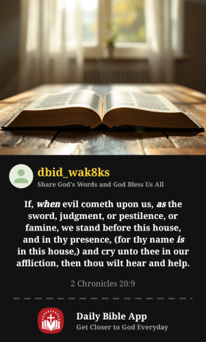 2026-01-171768691736501