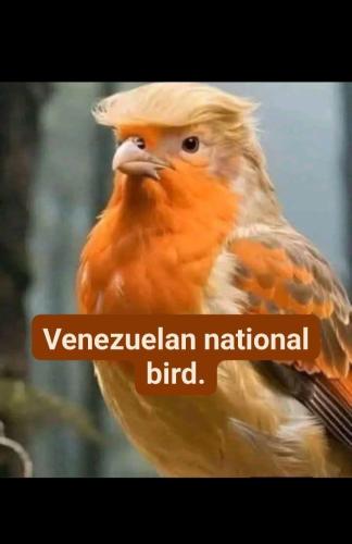 Screenshot_20260103_195425_X